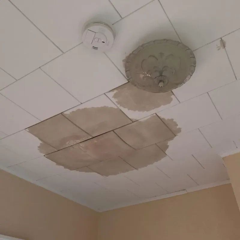 Ceiling Water Damage Repair in Rush County, IN