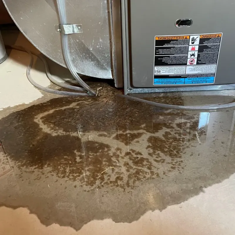 Pipe Burst and Leak Restoration in Rush County, IN