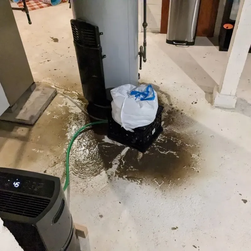 Sewage Backup Cleanup Service in Rush County, IN